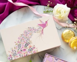 SM3466 Hummingbird - Pastel pinks